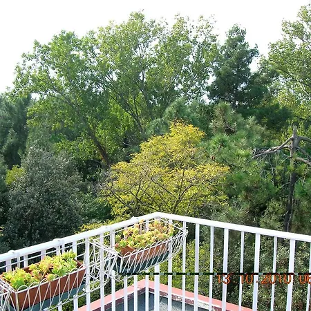 Atticogrado Apartamento Grado